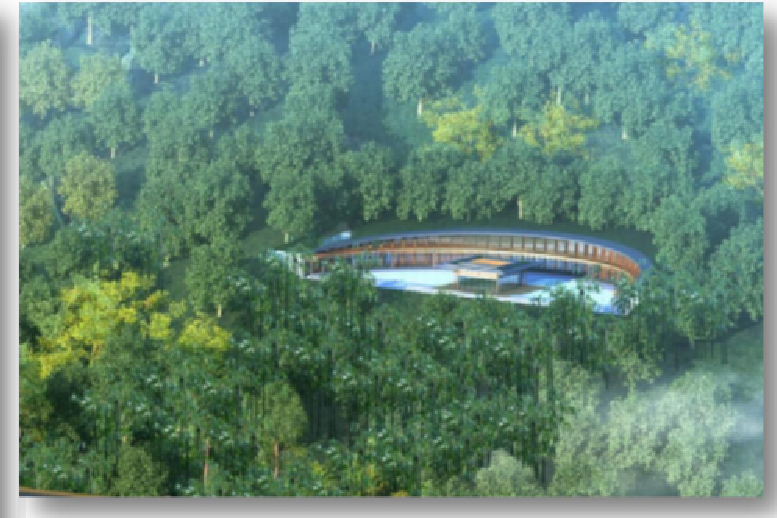 展览1